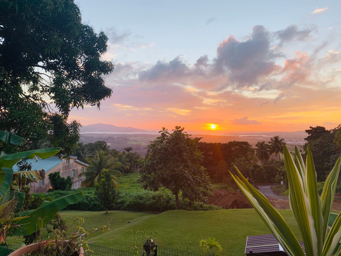 099958BE-09BD-4E15-82E3-3C62E3053D04