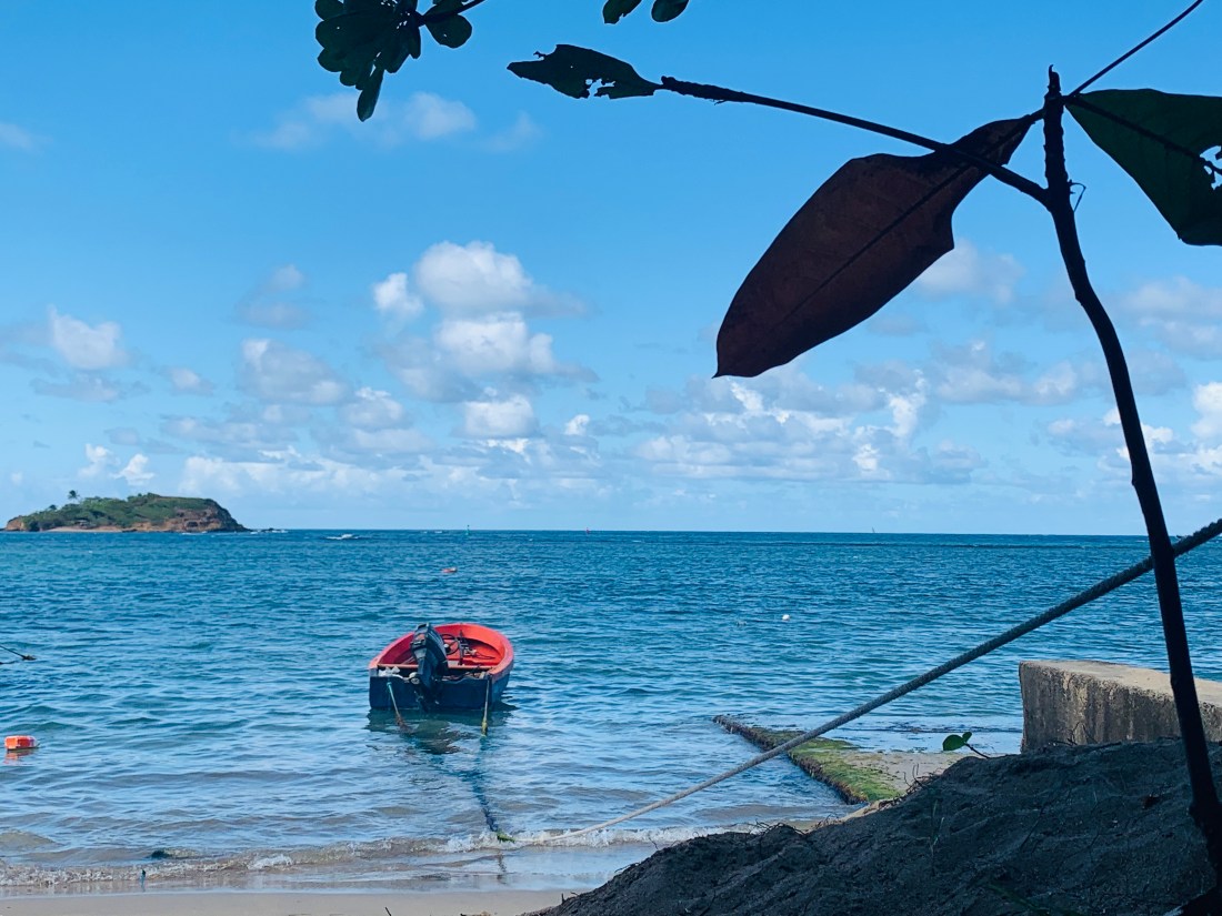 0CF1447A-65AA-44B7-926B-B90C243F9A65