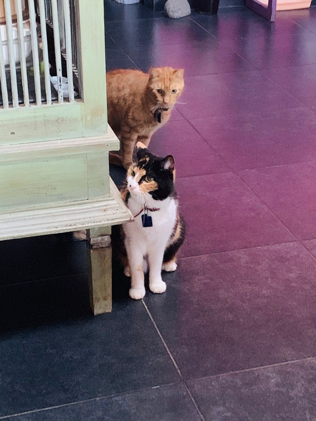 126AAB60-199B-48BA-8FA2-0F7F9BF2D2E6