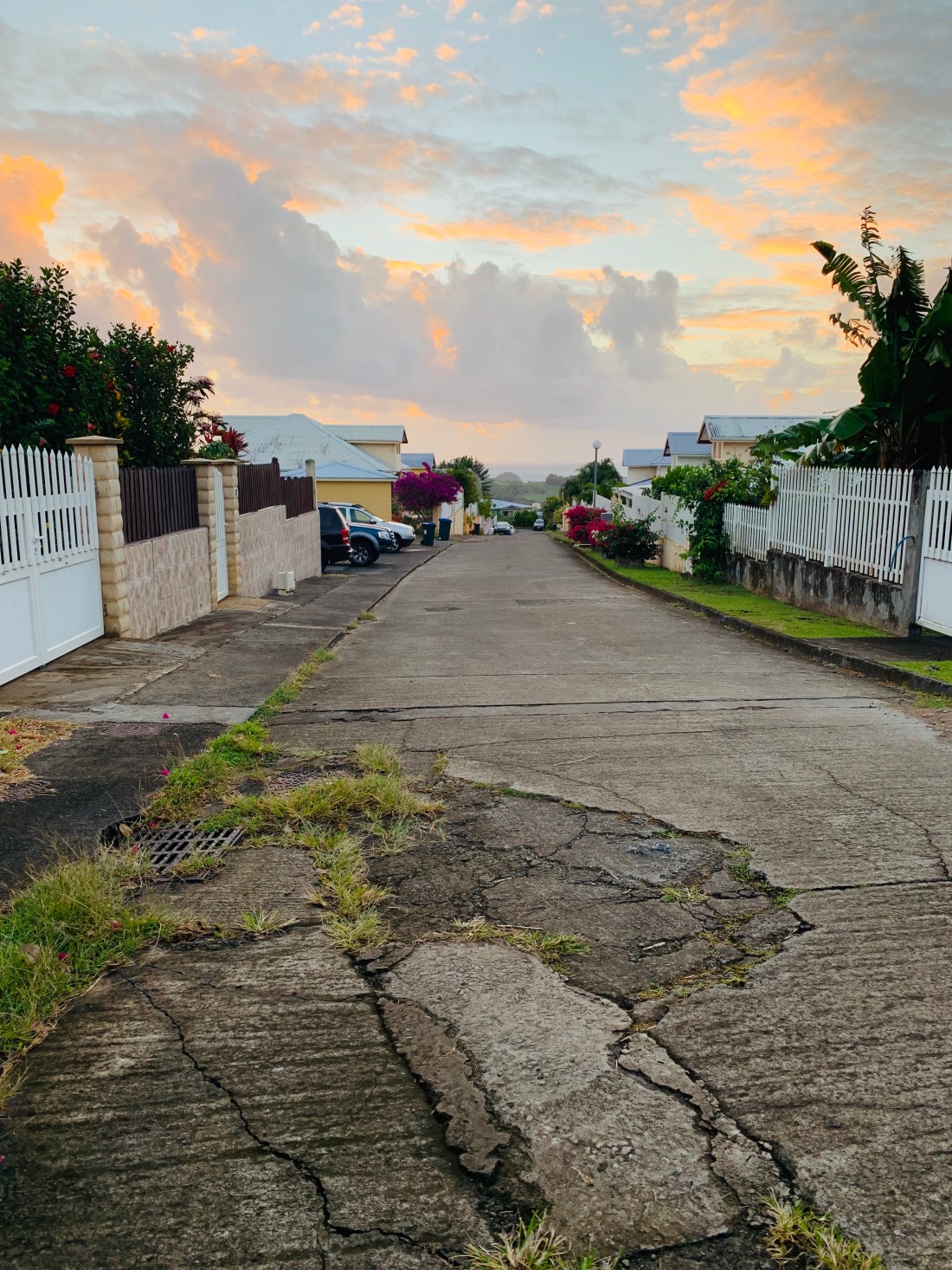 16E0E3E3-F91D-40D2-A807-6895B4B74808