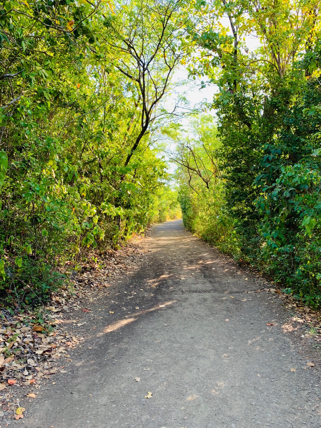 2BF93927-0850-45FB-8FA7-CDF488931A22