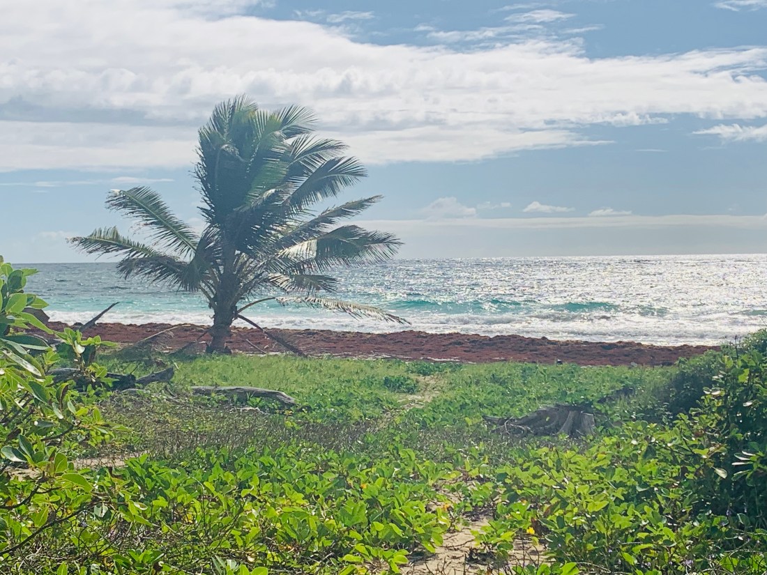 4F64F4D5-9188-4078-9846-02C13E33AD30