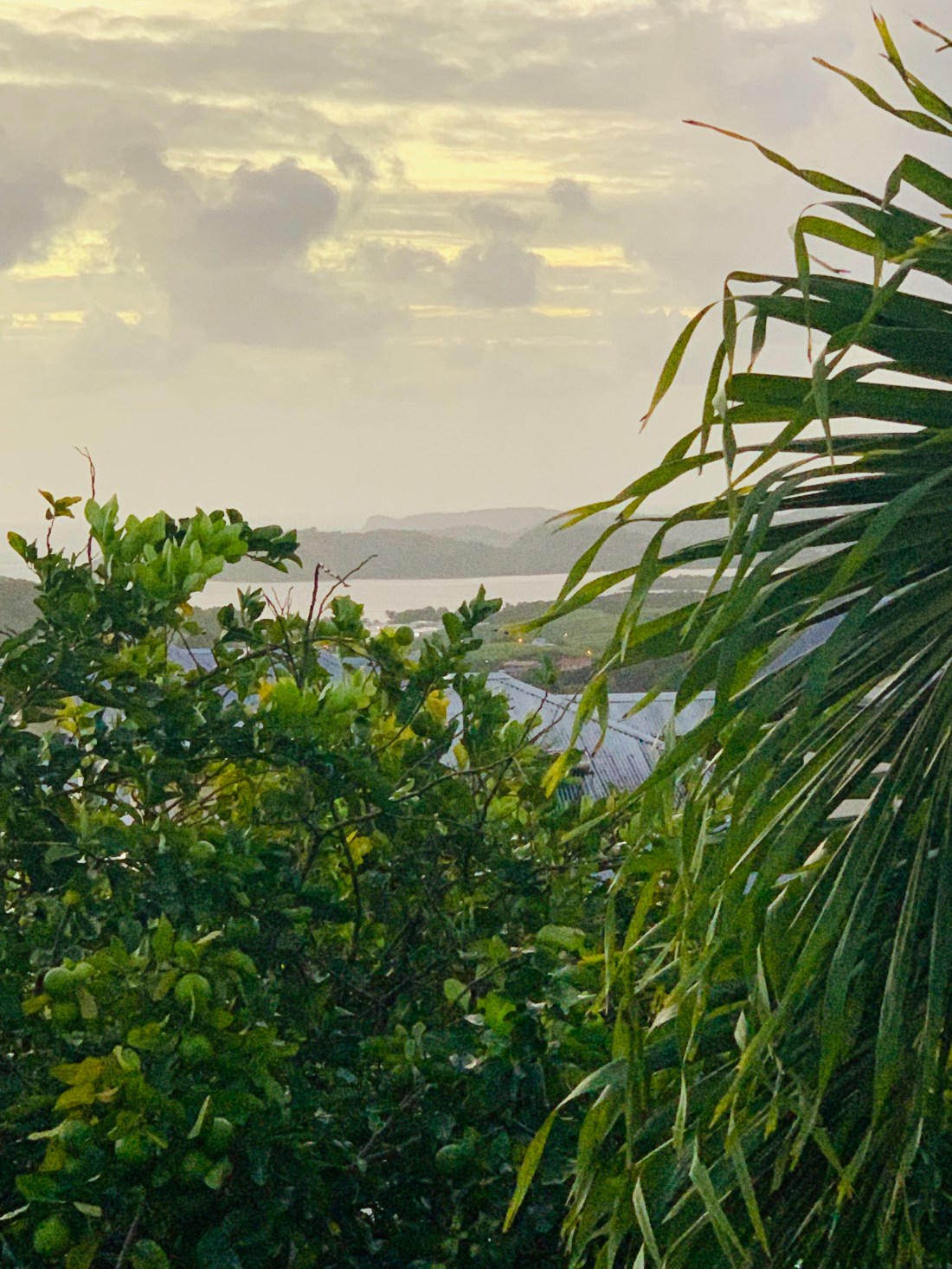 5A5C13CC-1453-466D-A4E8-812A5B2CC1A7