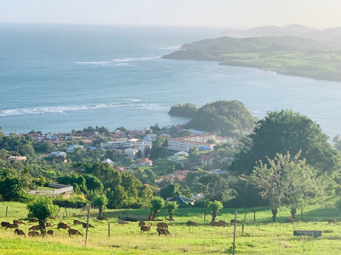 5D6325B7-F236-4C36-B609-907232DEE7C5