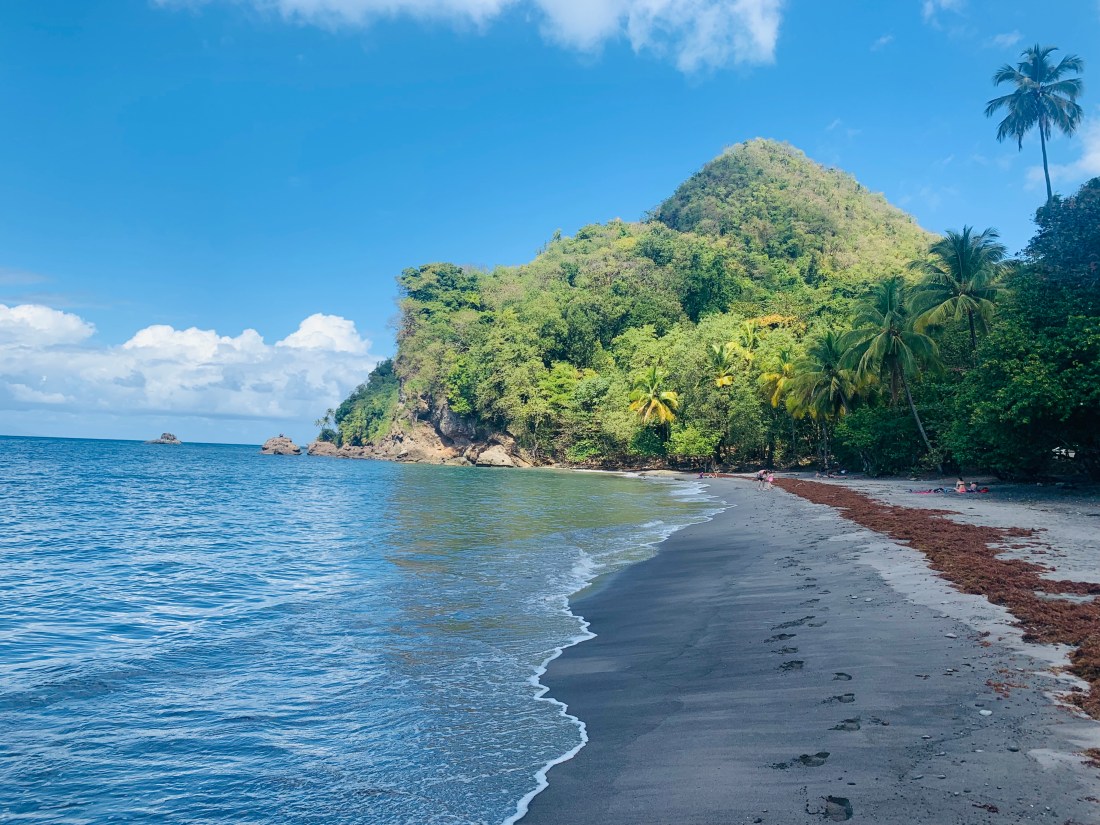 64781FF7-B8AB-426F-B8D9-EFB8DE180E17