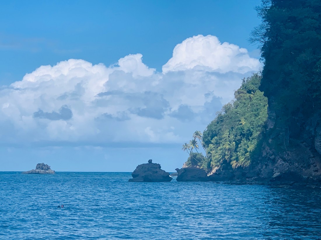 6B937FC6-F919-4A36-A7AE-B2C3EF1AEFE6