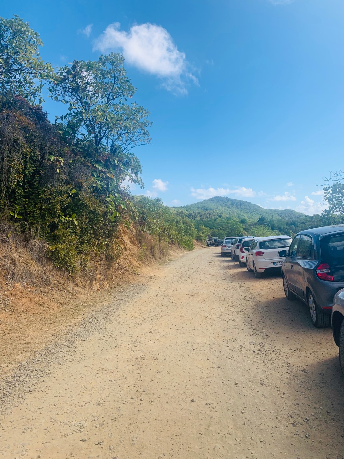 72667631-A79C-4EA6-B05F-C407651DB332