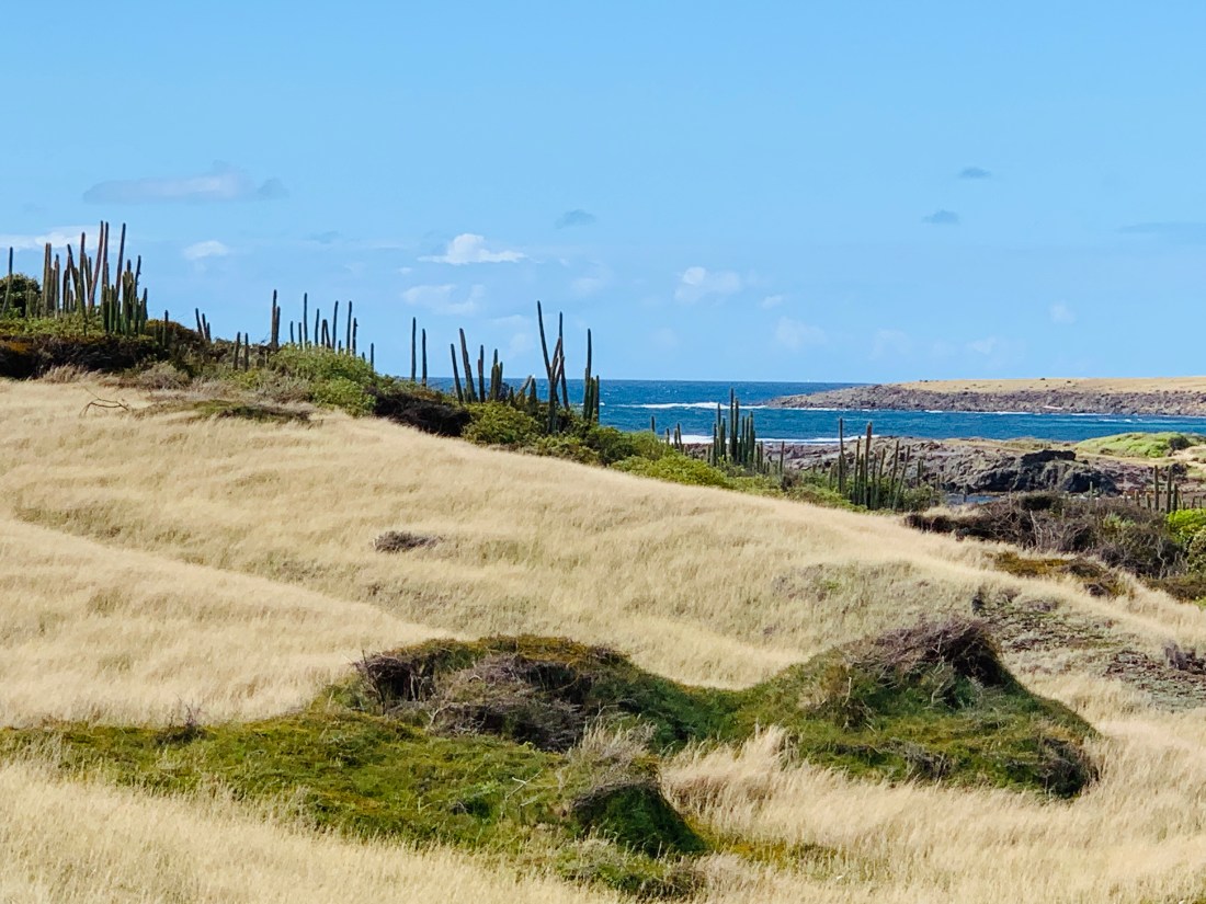 72F9B965-2AE1-4E4F-9EDC-2F4E3B508D91