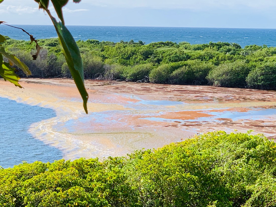 9E558D44-51FA-49BA-849F-830B5EFF66C8