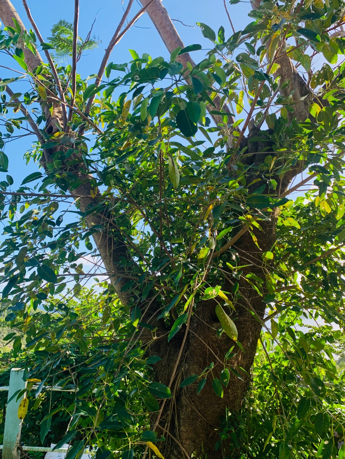 A40B2280-9C09-4A33-A190-1D51D0EB9739