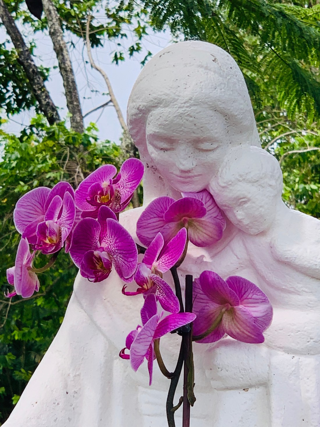 A84C6A63-71E9-4FF2-92F1-23ABE75AE823