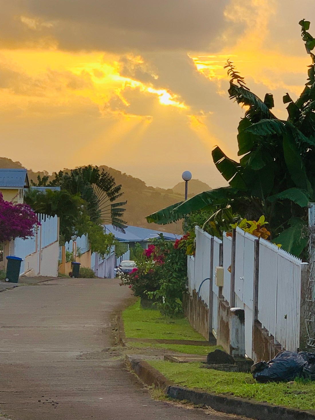 BC915CA3-F18D-433E-85B0-B03D385EFB71