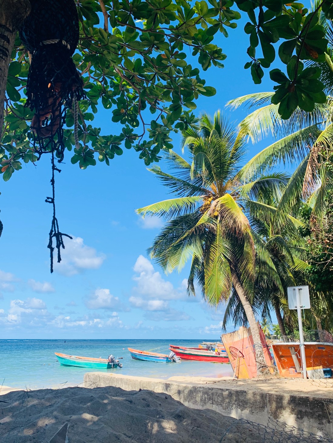 CCE047D8-CD20-451C-8A50-EFBF8E067F8A