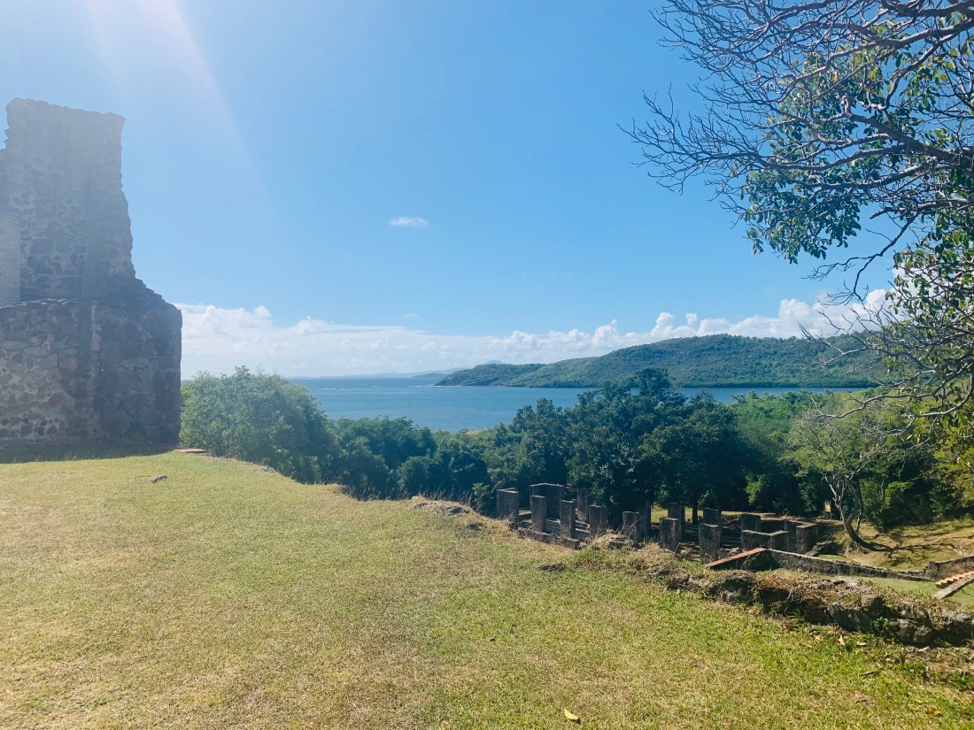 D095E351-B42F-4CB0-86BA-FA74F4CE44BB