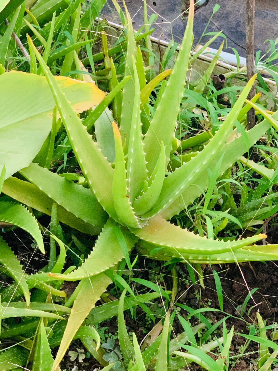 D7F0531B-8682-43CC-97ED-1DFCB280EF79