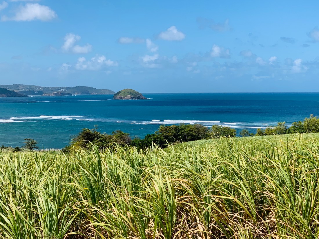 E16D47E4-B1F6-443B-8755-6385843D2B20