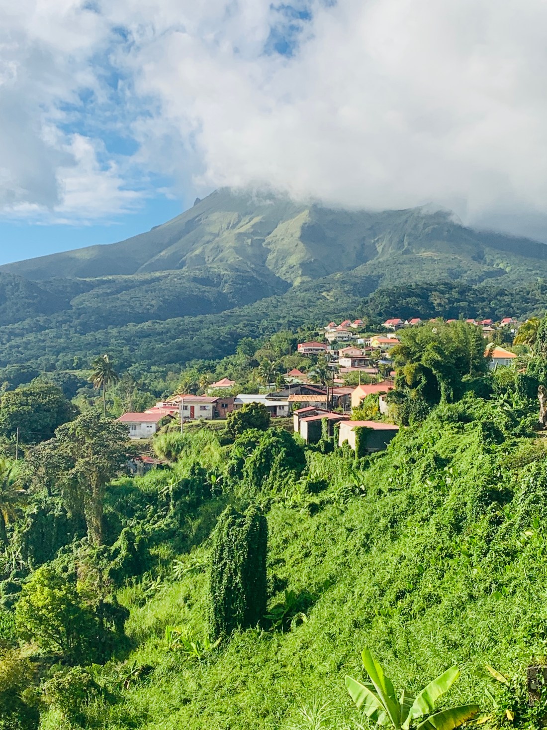 EB77AA9A-8F27-4913-AB46-9862C7C1431E