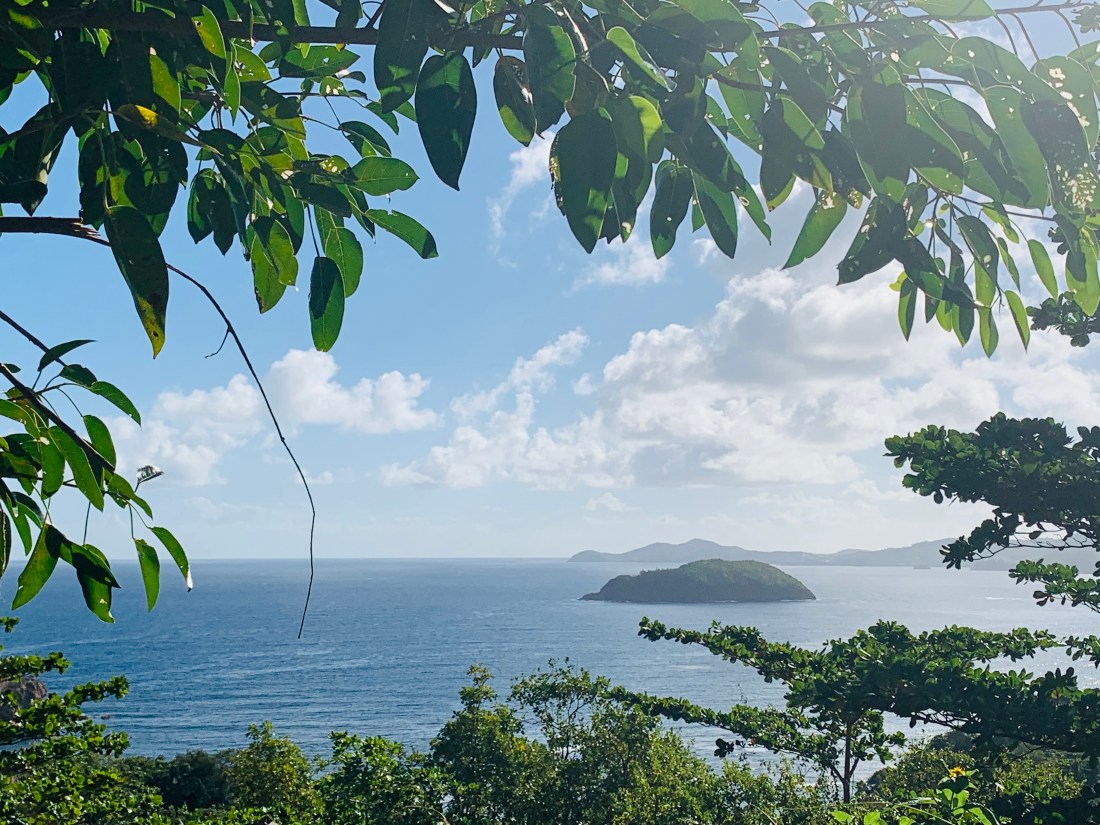 EB8B2015-1BD5-4F01-8CF2-DBFB059BC198