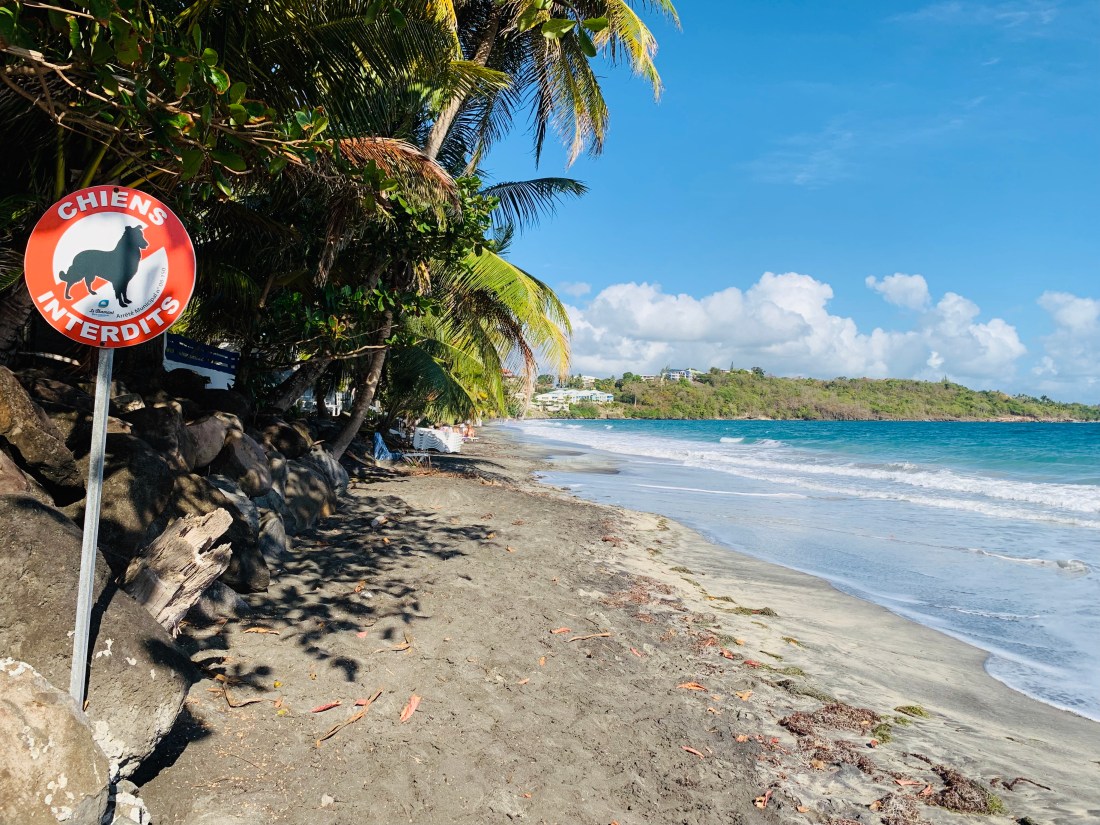 F275D498-FA99-4892-9BB8-F1BA6781C5D5