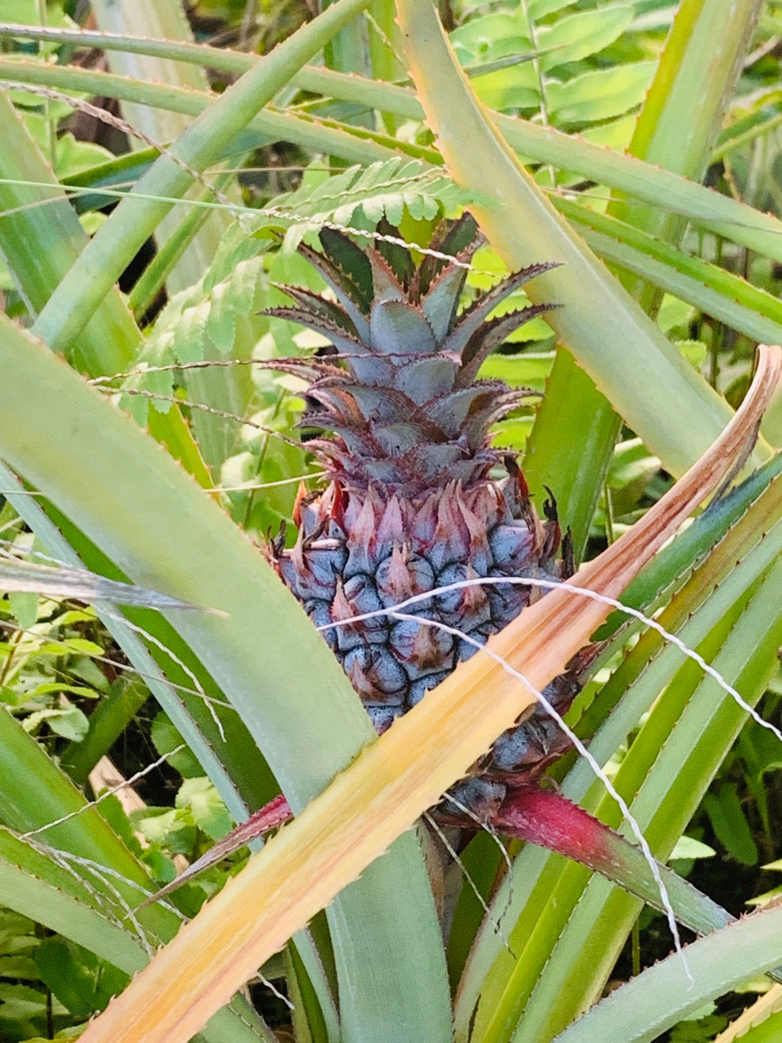 F3E29276-15B3-4577-A54A-DD6179779B61