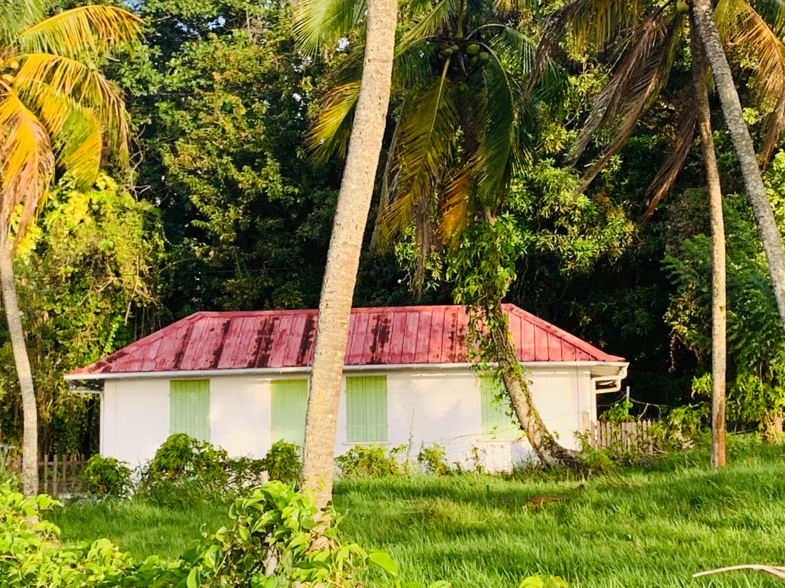 FCA9D92B-D392-423F-B533-09777818DE46